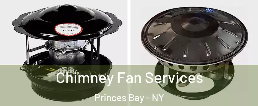 Chimney Fan Services Princes Bay - NY