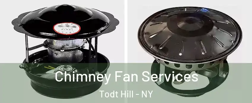 Chimney Fan Services Todt Hill - NY