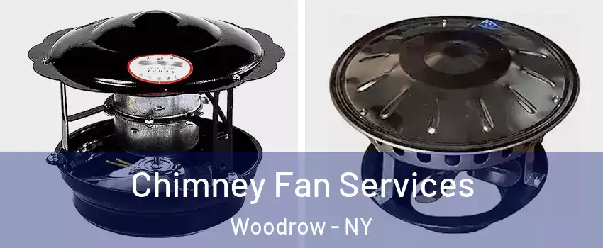 Chimney Fan Services Woodrow - NY