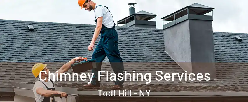 Chimney Flashing Services Todt Hill - NY