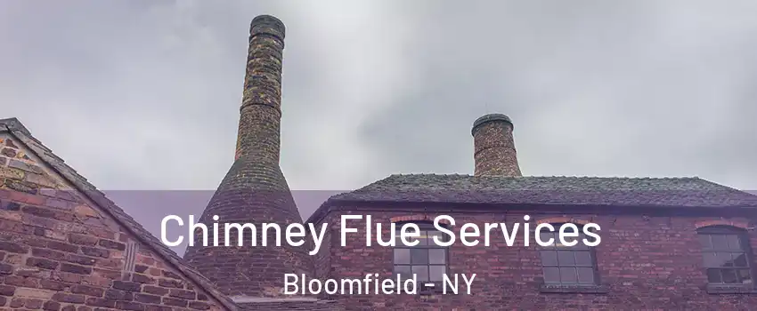 Chimney Flue Services Bloomfield - NY