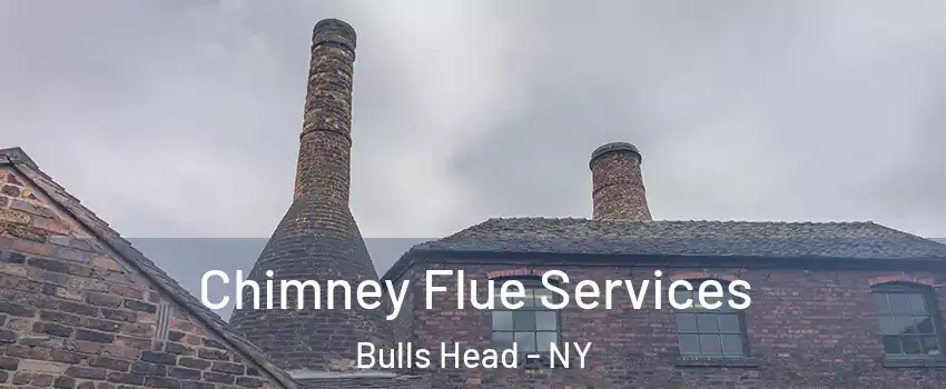 Chimney Flue Services Bulls Head - NY