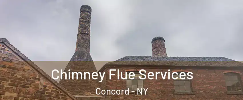 Chimney Flue Services Concord - NY