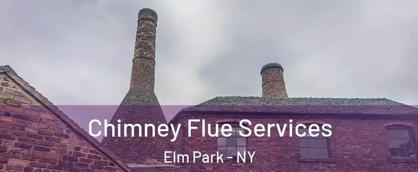 Chimney Flue Services Elm Park - NY