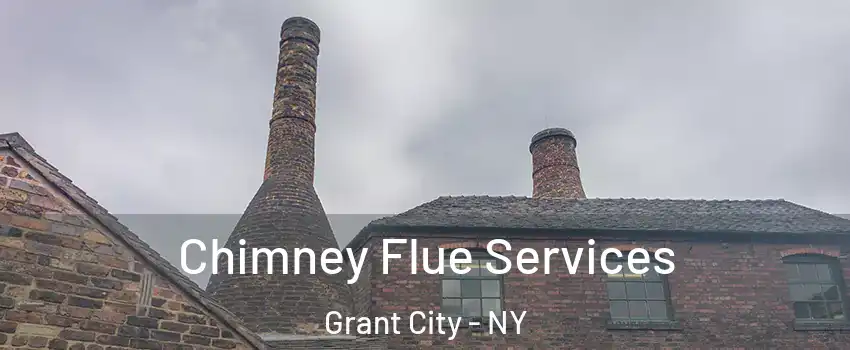 Chimney Flue Services Grant City - NY