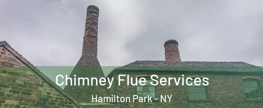 Chimney Flue Services Hamilton Park - NY