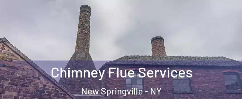 Chimney Flue Services New Springville - NY