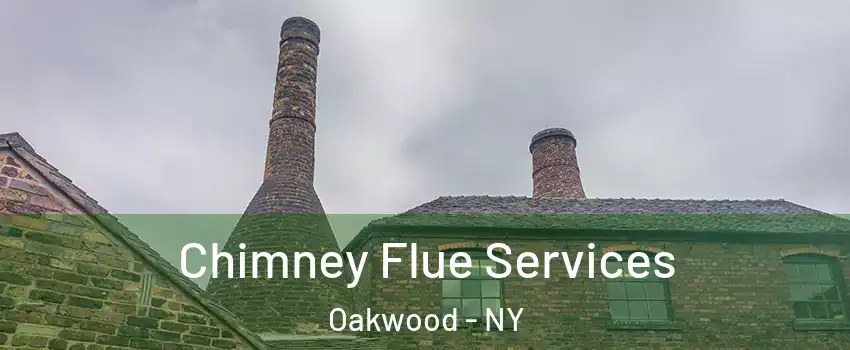 Chimney Flue Services Oakwood - NY