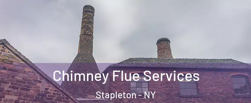 Chimney Flue Services Stapleton - NY