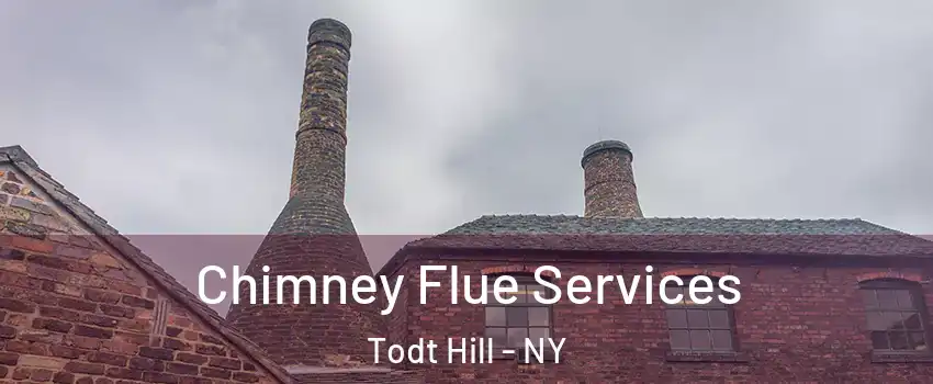 Chimney Flue Services Todt Hill - NY