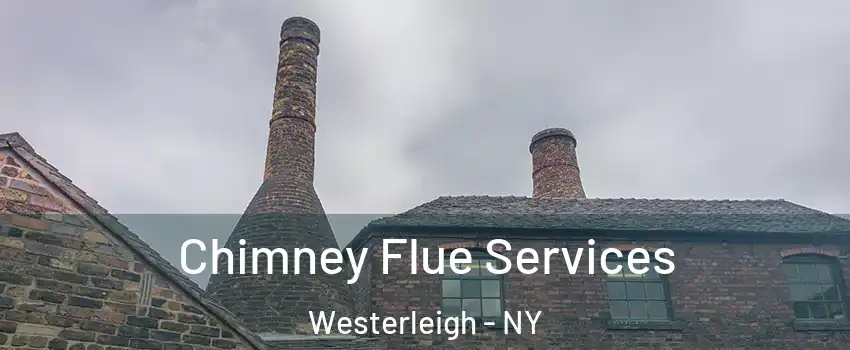 Chimney Flue Services Westerleigh - NY