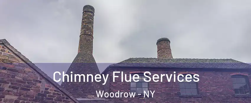 Chimney Flue Services Woodrow - NY