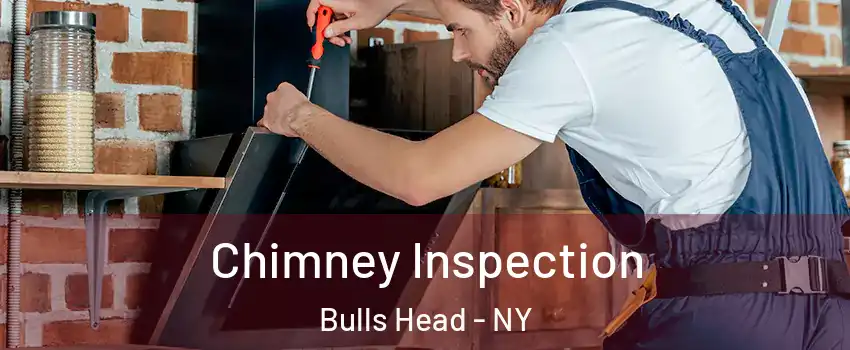 Chimney Inspection Bulls Head - NY