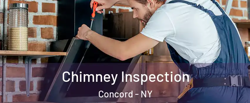 Chimney Inspection Concord - NY