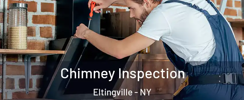 Chimney Inspection Eltingville - NY