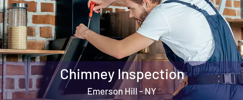 Chimney Inspection Emerson Hill - NY