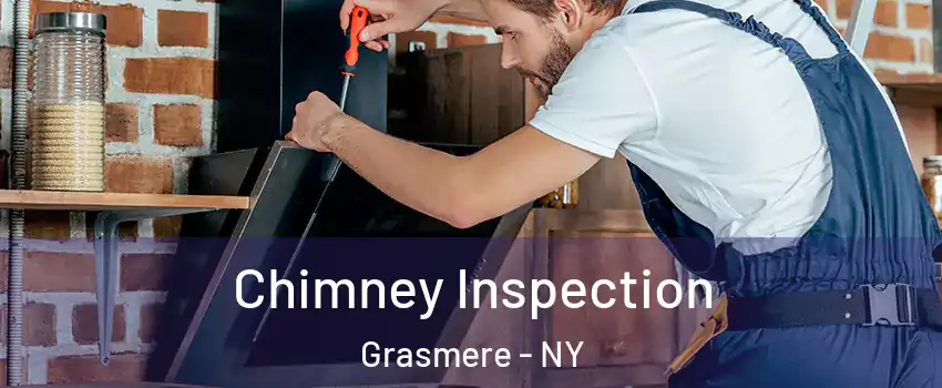 Chimney Inspection Grasmere - NY