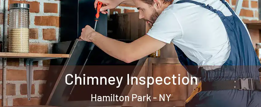 Chimney Inspection Hamilton Park - NY