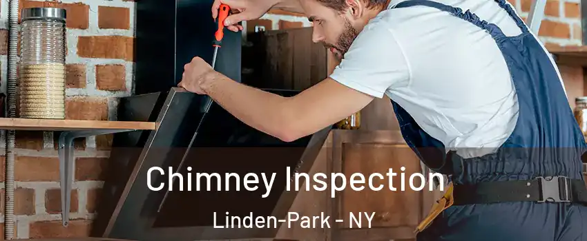 Chimney Inspection Linden-Park - NY