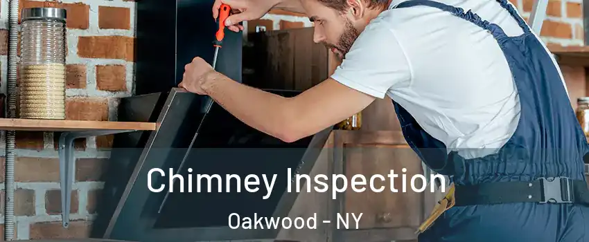 Chimney Inspection Oakwood - NY