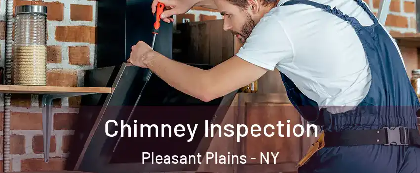 Chimney Inspection Pleasant Plains - NY