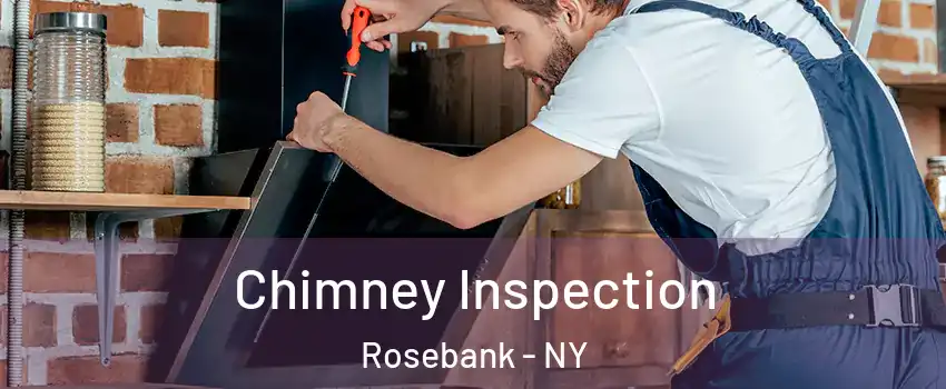 Chimney Inspection Rosebank - NY