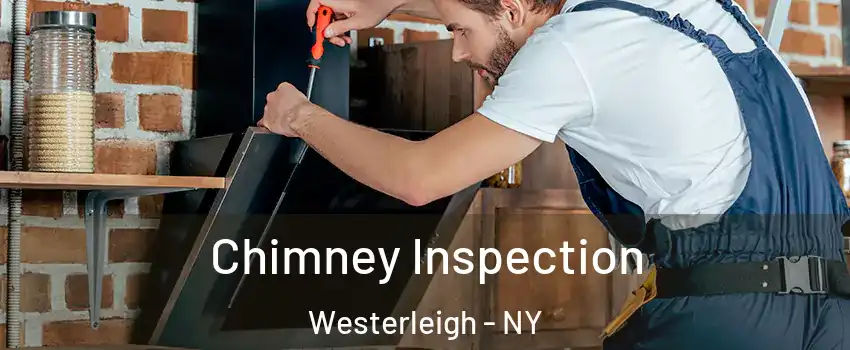 Chimney Inspection Westerleigh - NY