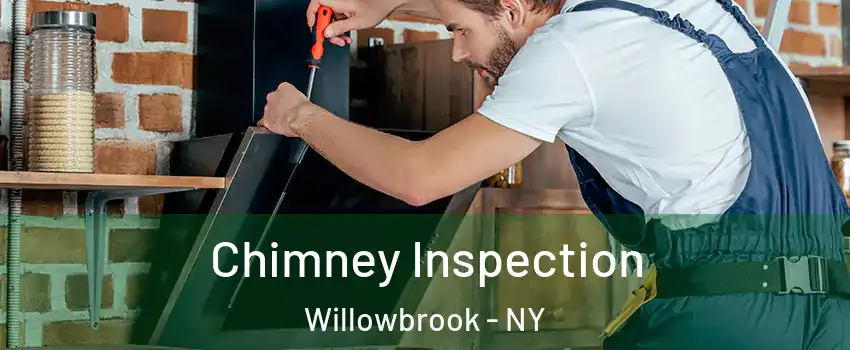 Chimney Inspection Willowbrook - NY