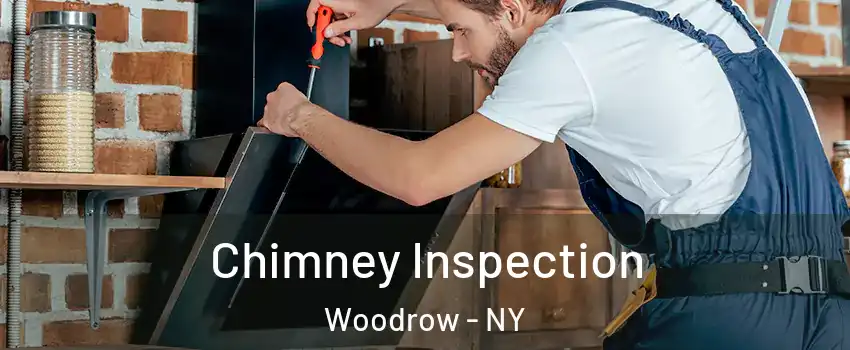 Chimney Inspection Woodrow - NY