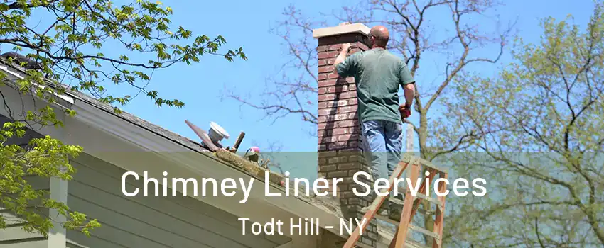 Chimney Liner Services Todt Hill - NY