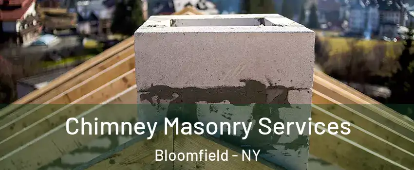 Chimney Masonry Services Bloomfield - NY