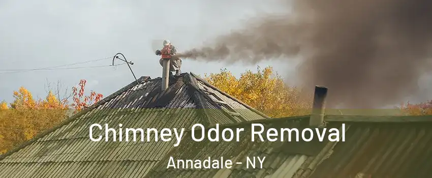 Chimney Odor Removal Annadale - NY