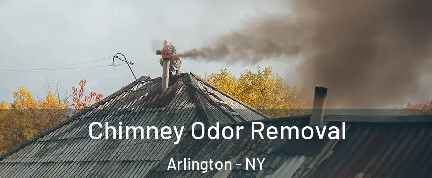 Chimney Odor Removal Arlington - NY