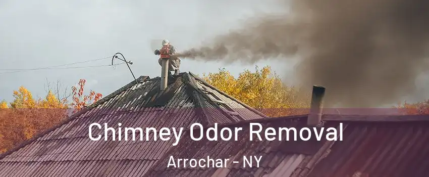 Chimney Odor Removal Arrochar - NY