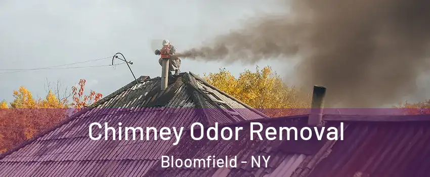 Chimney Odor Removal Bloomfield - NY