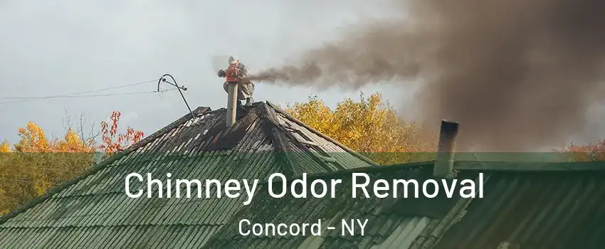 Chimney Odor Removal Concord - NY