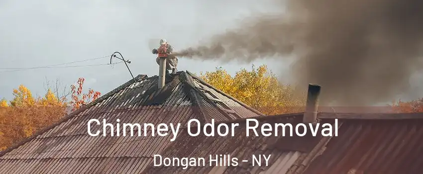 Chimney Odor Removal Dongan Hills - NY