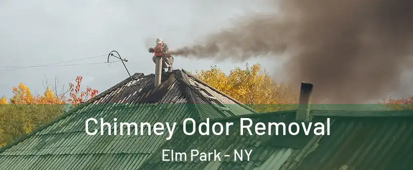 Chimney Odor Removal Elm Park - NY