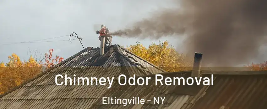 Chimney Odor Removal Eltingville - NY