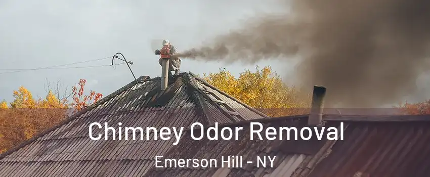 Chimney Odor Removal Emerson Hill - NY