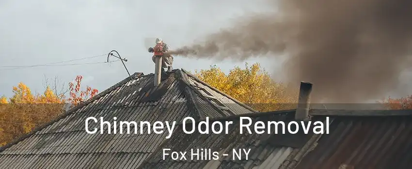 Chimney Odor Removal Fox Hills - NY