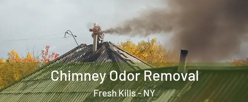 Chimney Odor Removal Fresh Kills - NY