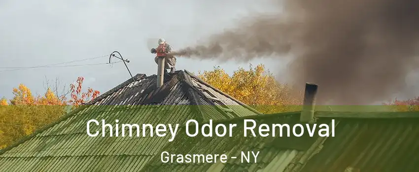 Chimney Odor Removal Grasmere - NY