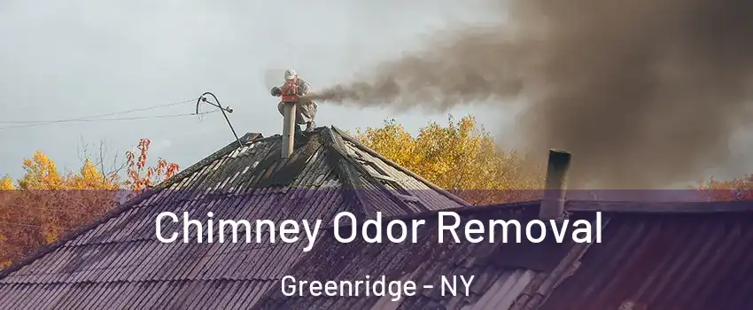 Chimney Odor Removal Greenridge - NY