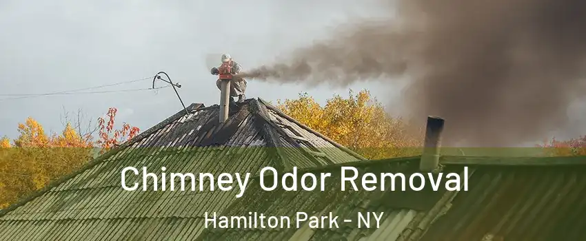 Chimney Odor Removal Hamilton Park - NY