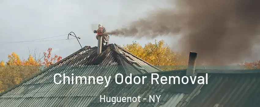 Chimney Odor Removal Huguenot - NY