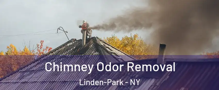 Chimney Odor Removal Linden-Park - NY