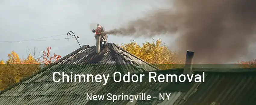 Chimney Odor Removal New Springville - NY