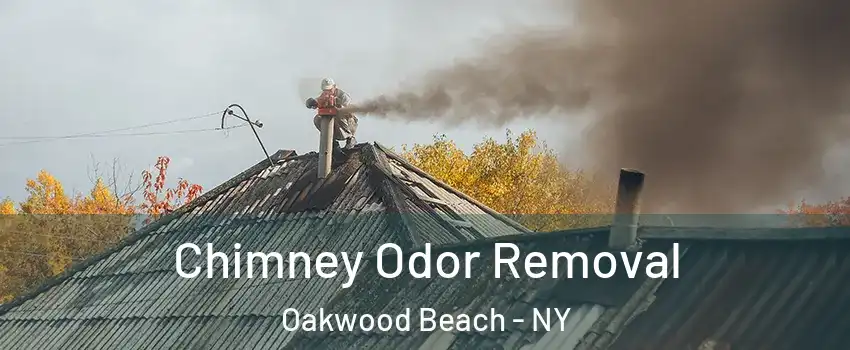 Chimney Odor Removal Oakwood Beach - NY