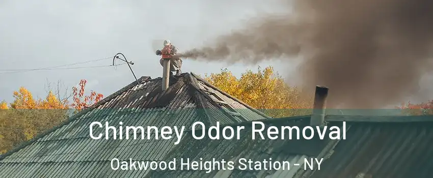 Chimney Odor Removal Oakwood Heights Station - NY